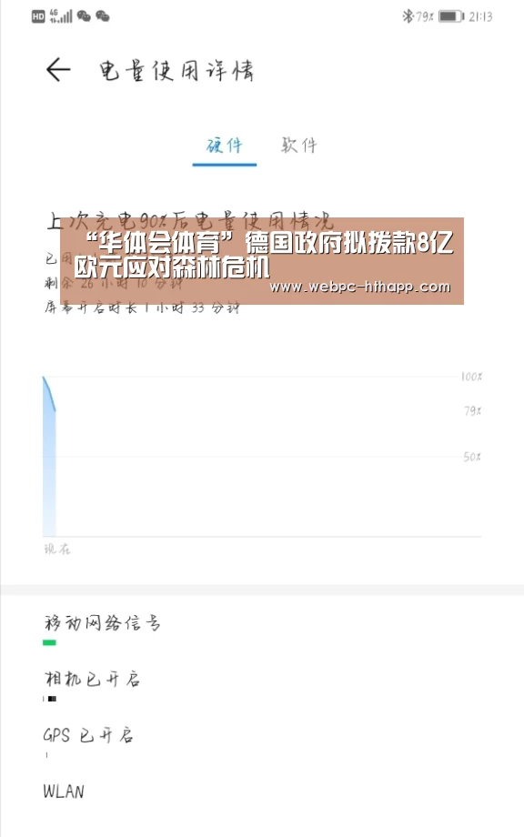 “华体会体育”德国政府拟拨款8亿欧元应对森林危机(图2) 华体会体育