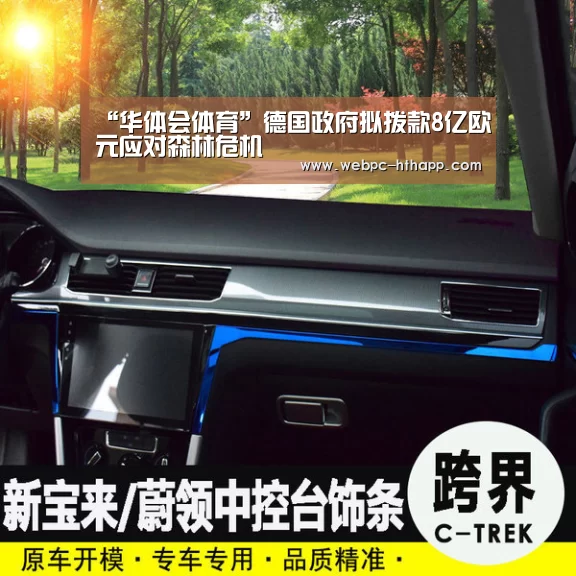 “华体会体育”德国政府拟拨款8亿欧元应对森林危机(图3) 华体会体育