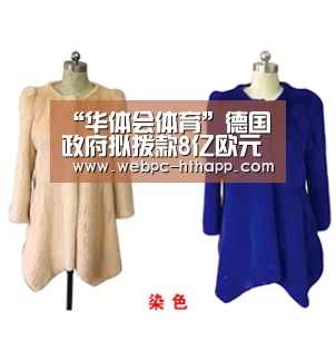 “华体会体育”德国政府拟拨款8亿欧元应对森林危机(图1) 华体会体育