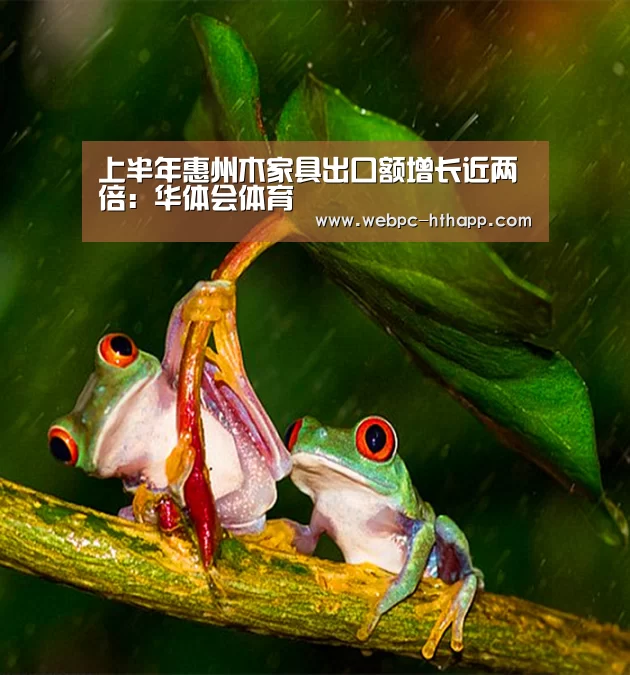 华体会体育