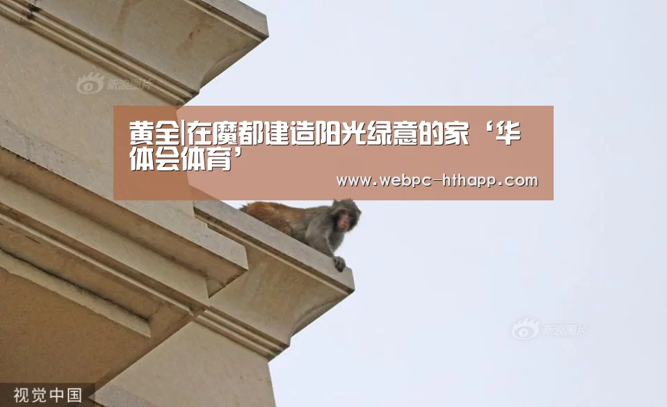 黄全|在魔都建造阳光绿意的家‘华体会体育’(图1) 华体会体育