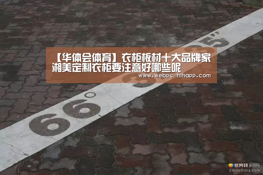 华体会体育