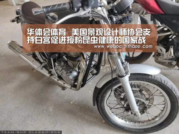 华体会体育