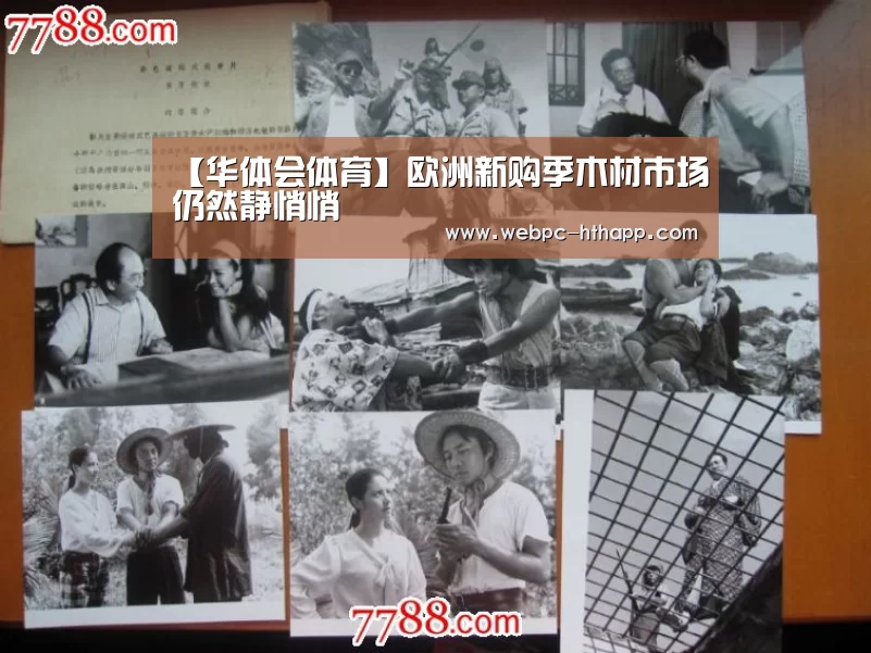 【华体会体育】欧洲新购季木材市场仍然静悄悄(图1) 华体会体育