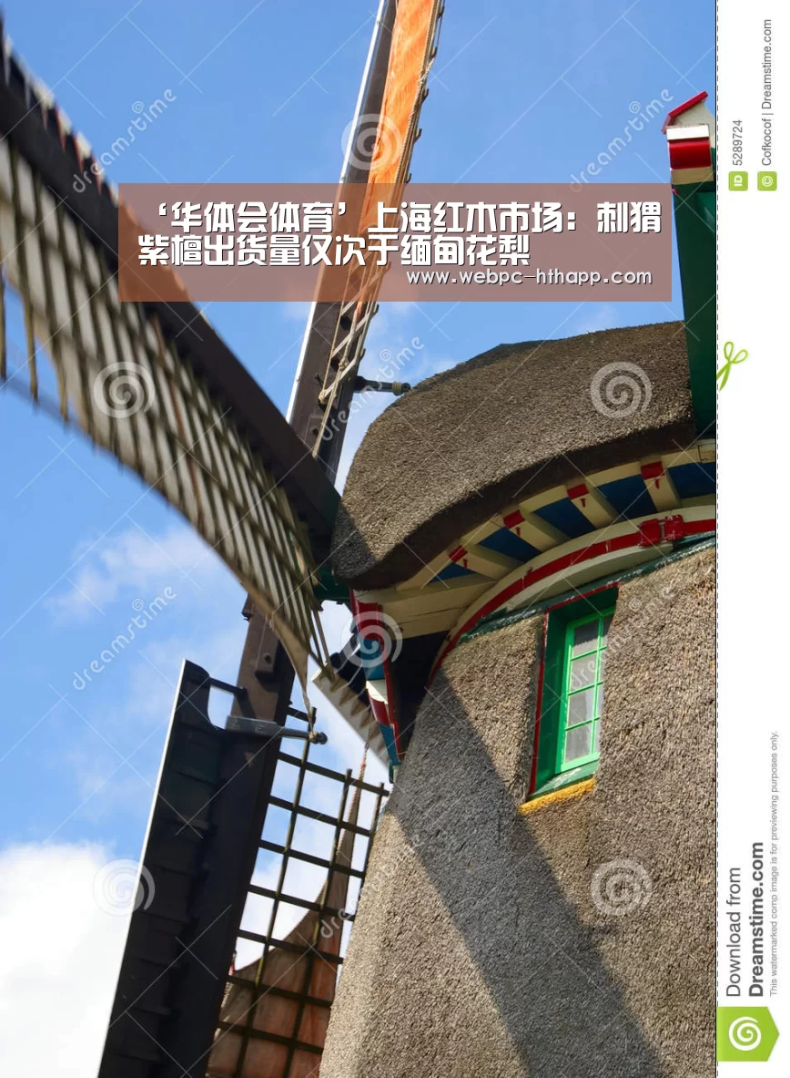 ‘华体会体育’上海红木市场:刺猬紫檀出货量仅次于缅甸花梨(图3) 华体会体育